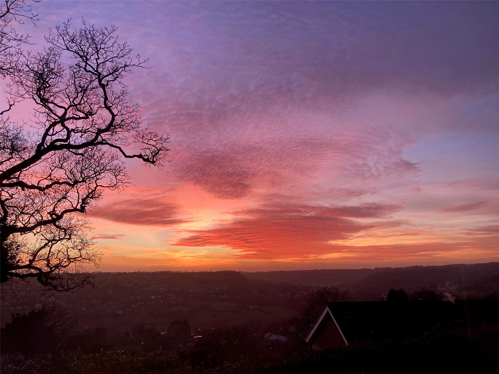 Timber Hill, Lyme Regis, Dorset, DT7, photo 9