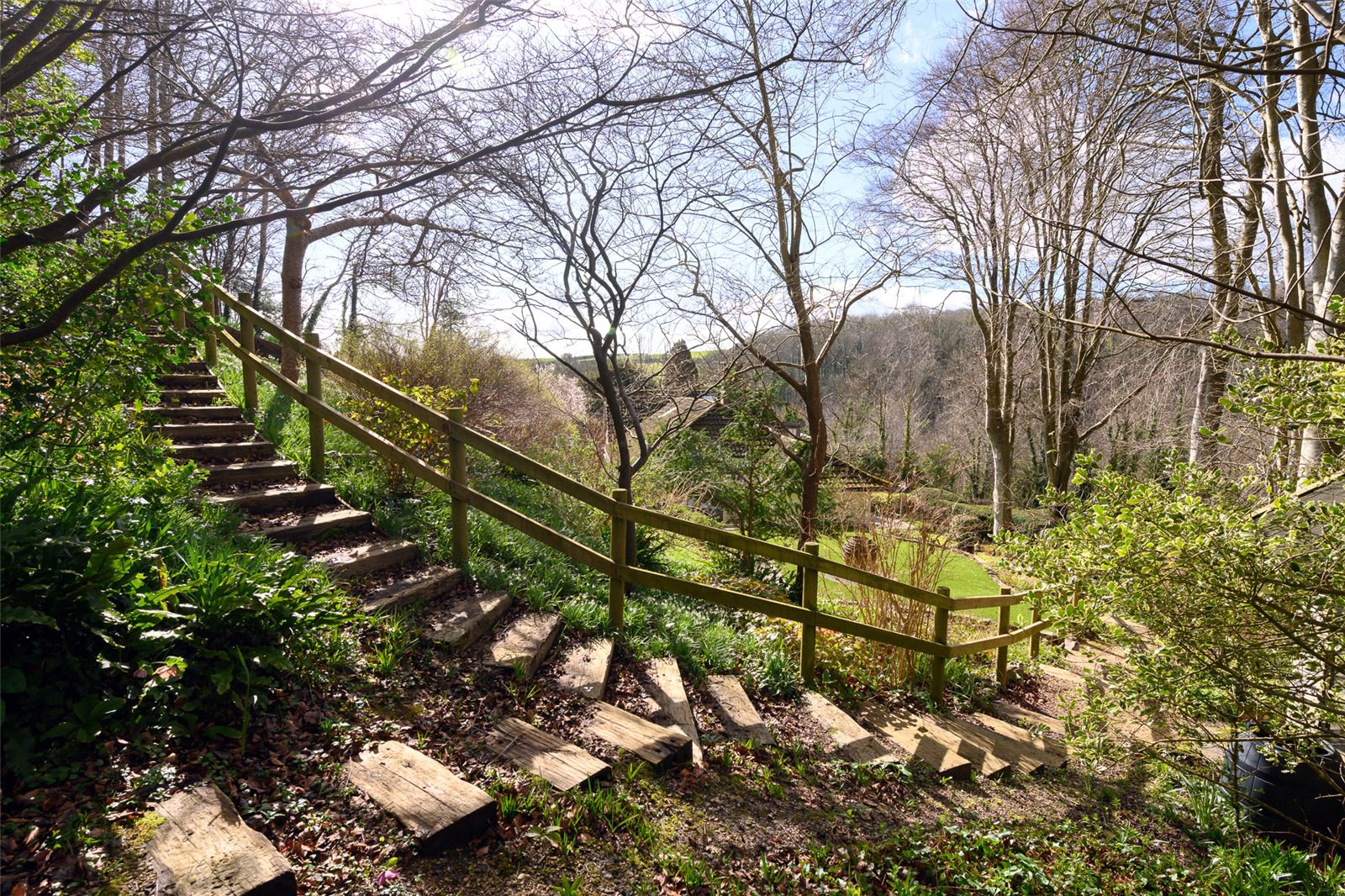 Pond Head, Milton Abbas, Blandford Forum, Dorset, DT11, photo 25