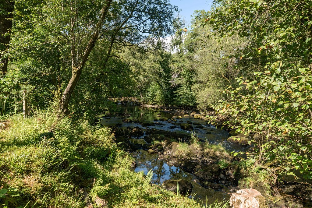 Ivy Cottage, Skelwith Bridge, Ambleside, Cumbria, LA22 9NW, photo 5