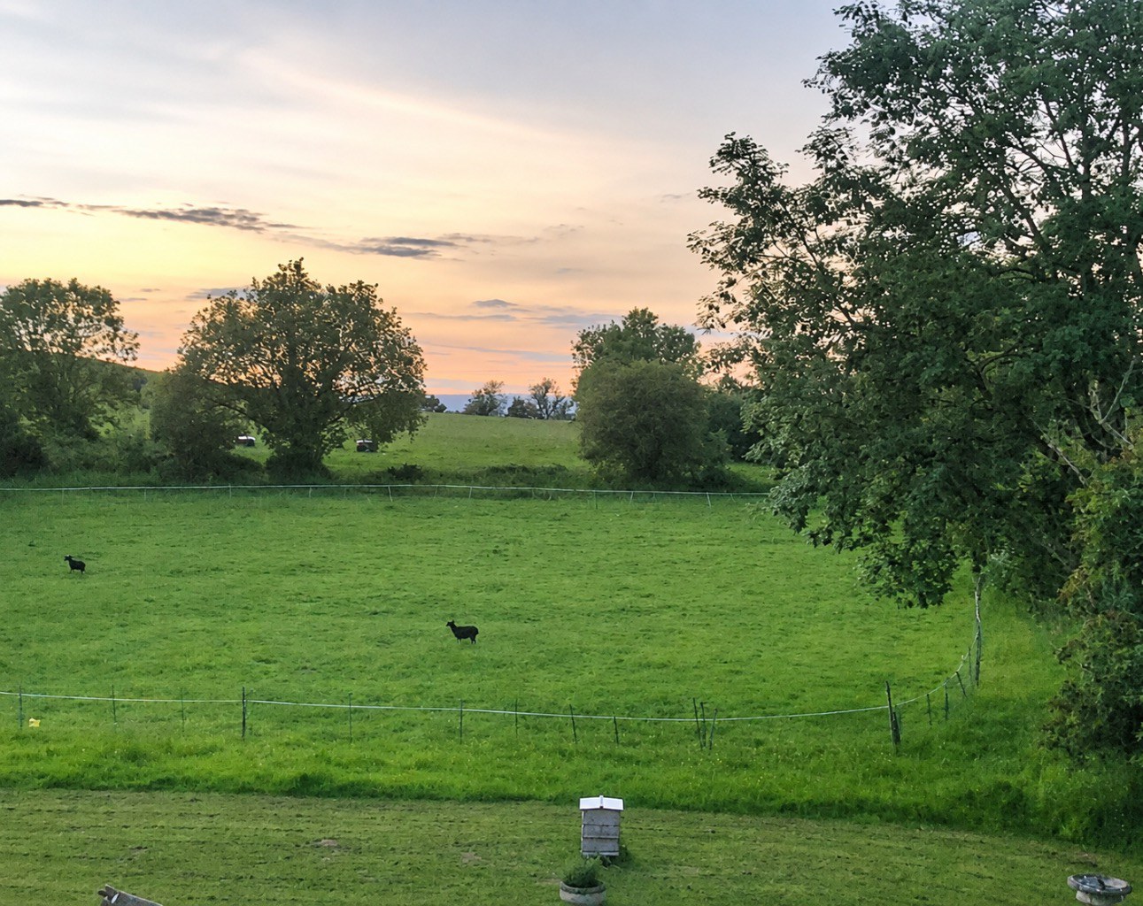 Discreet Listing, Baltonsborough
