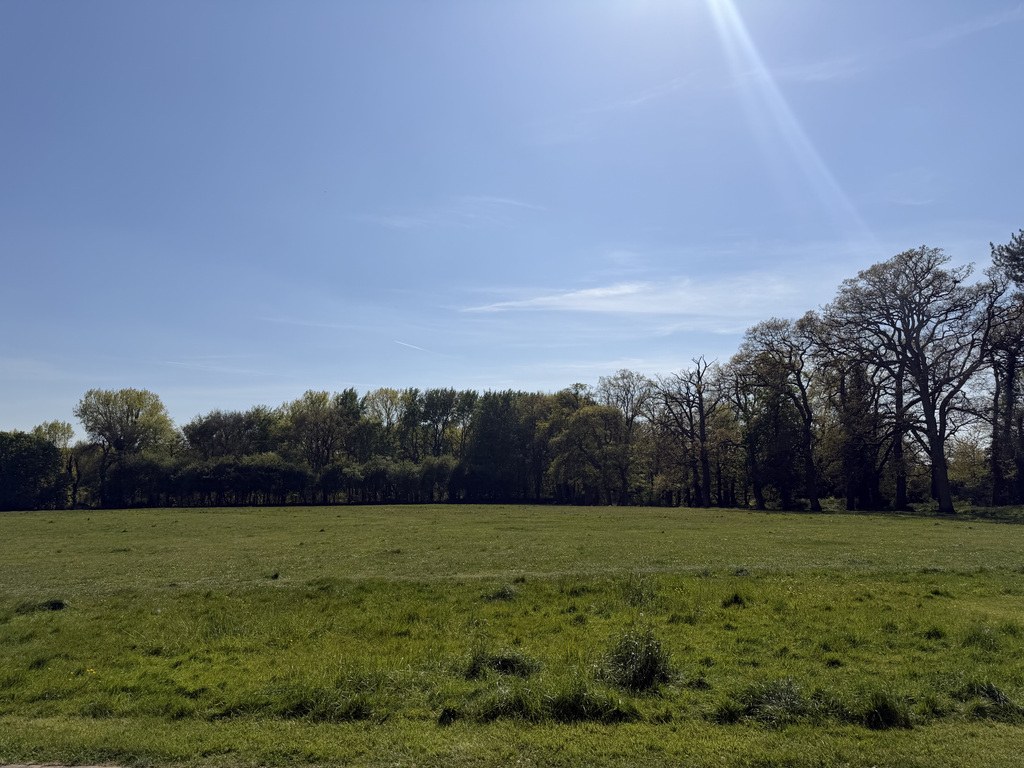 Bowes Court, Thomas Wyatt Road, Devizes, Wiltshire, photo 3