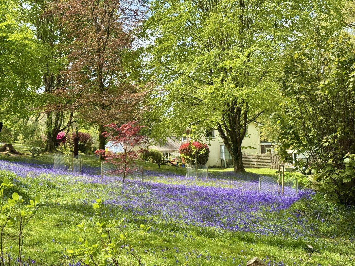 Perranarworthal, photo 20