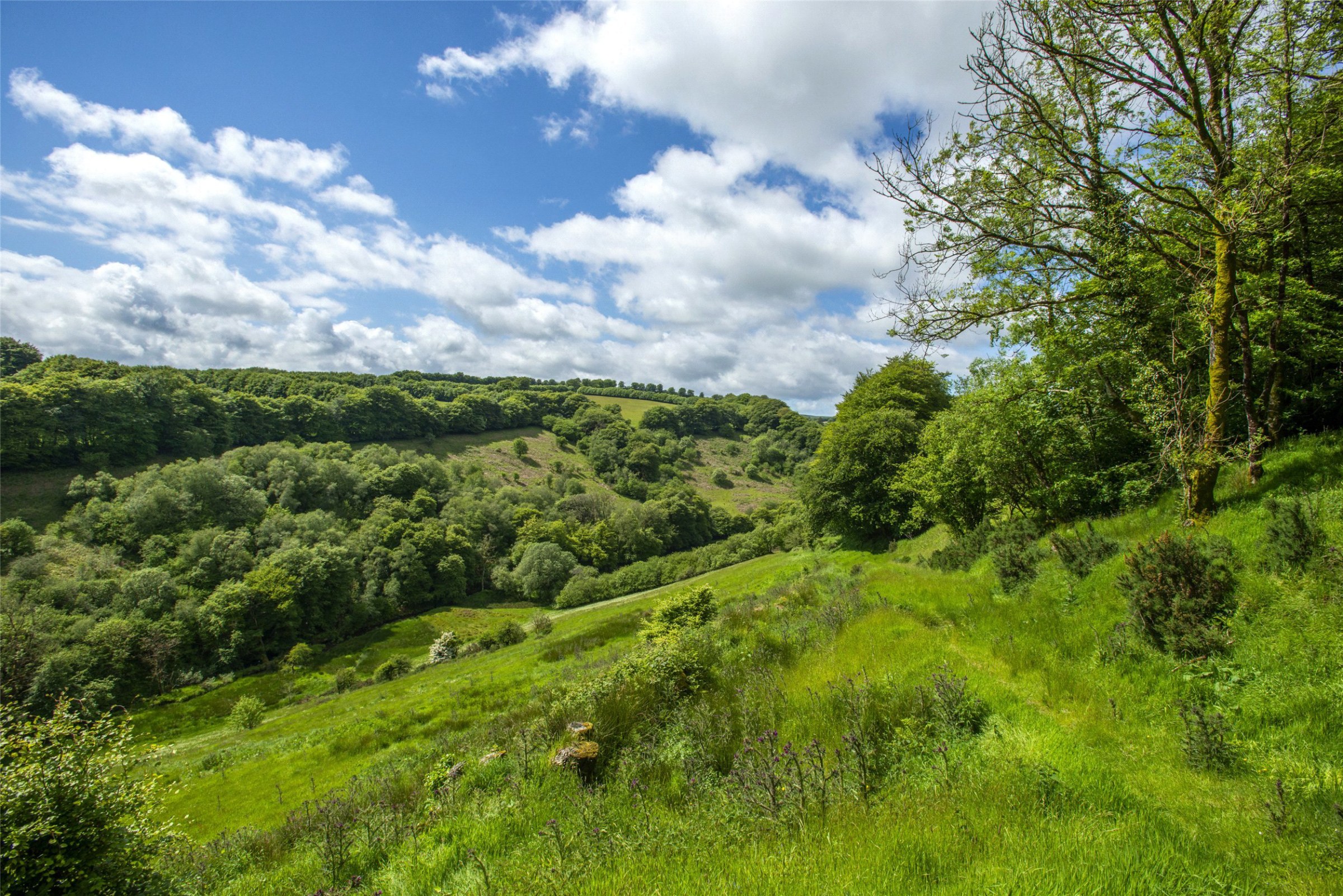 Withypool, Minehead, Somerset, TA24, photo 7