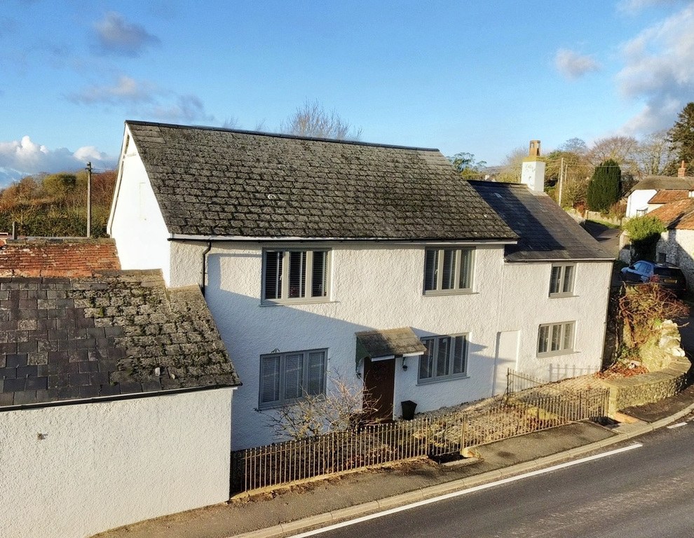 Newtown, Buckland St. Mary, photo 43