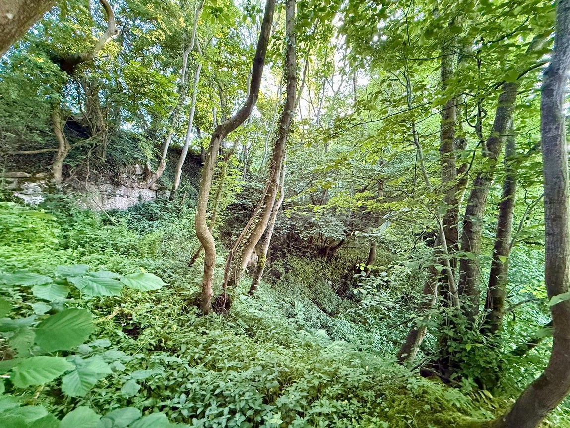 1.40 Acres of Woodland