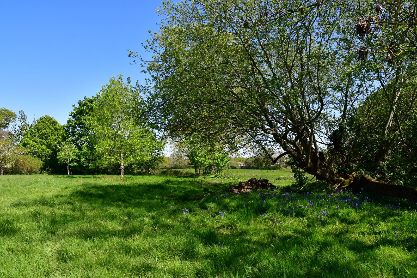 Langton Lane, Hurstpierpoint, BN6, photo 31
