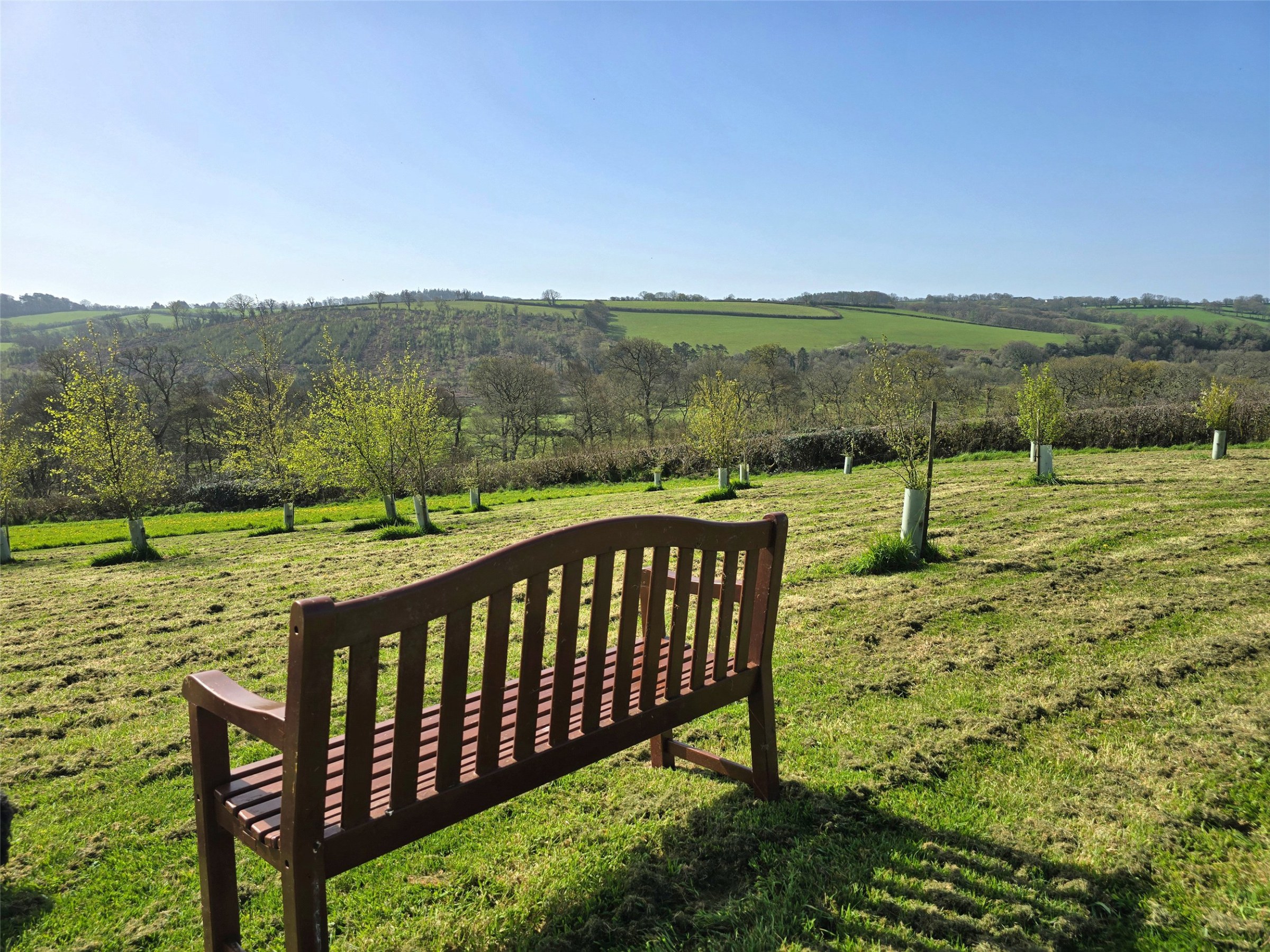 Yeolmbridge, Launceston, Cornwall, PL15, photo 23