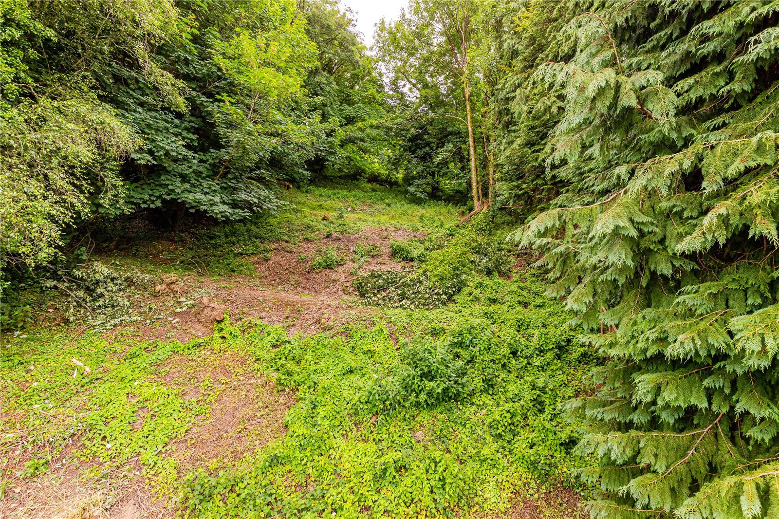 Weeke Hill, Dartmouth, Devon, TQ6, photo 11