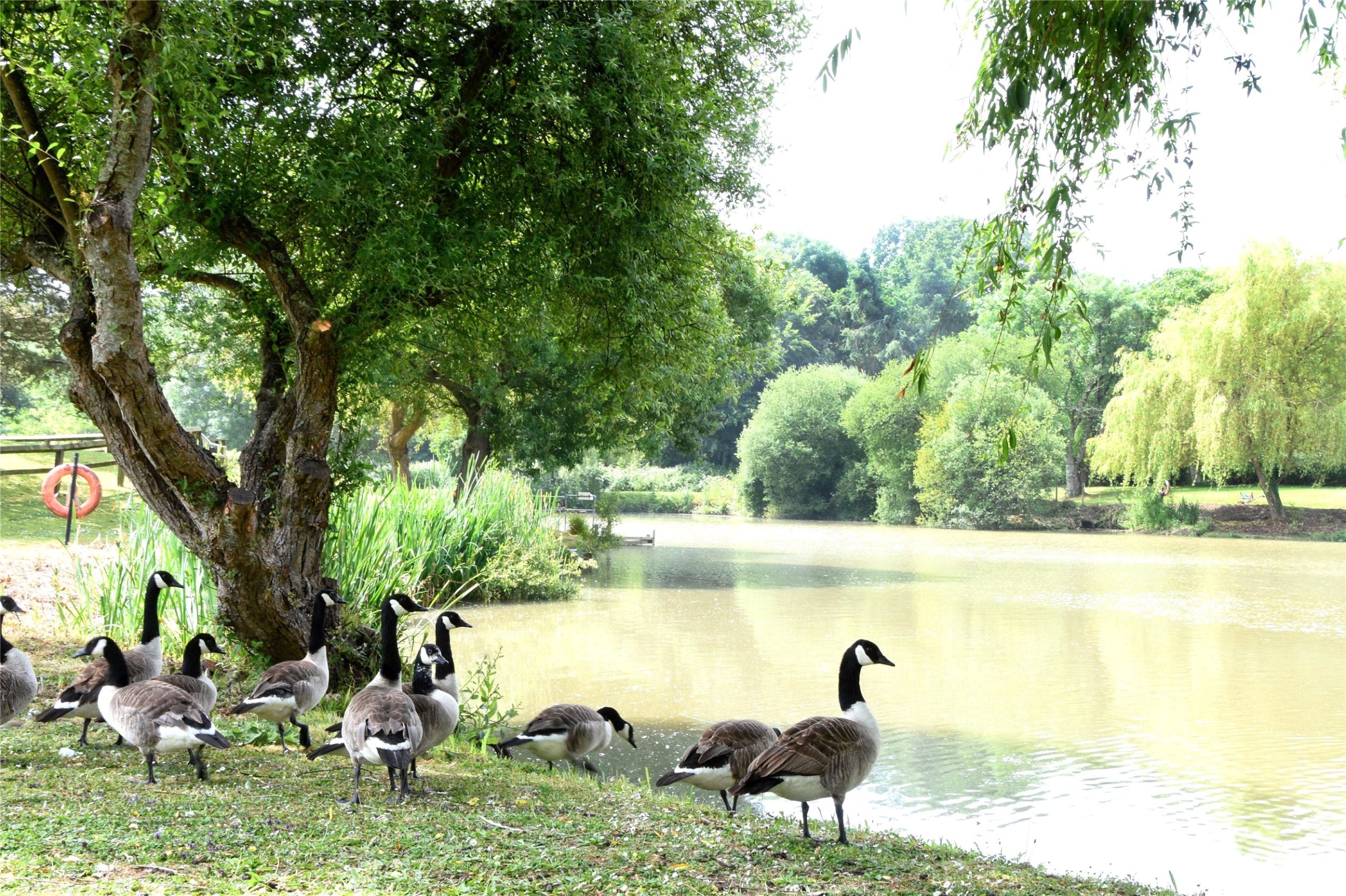Photo 14