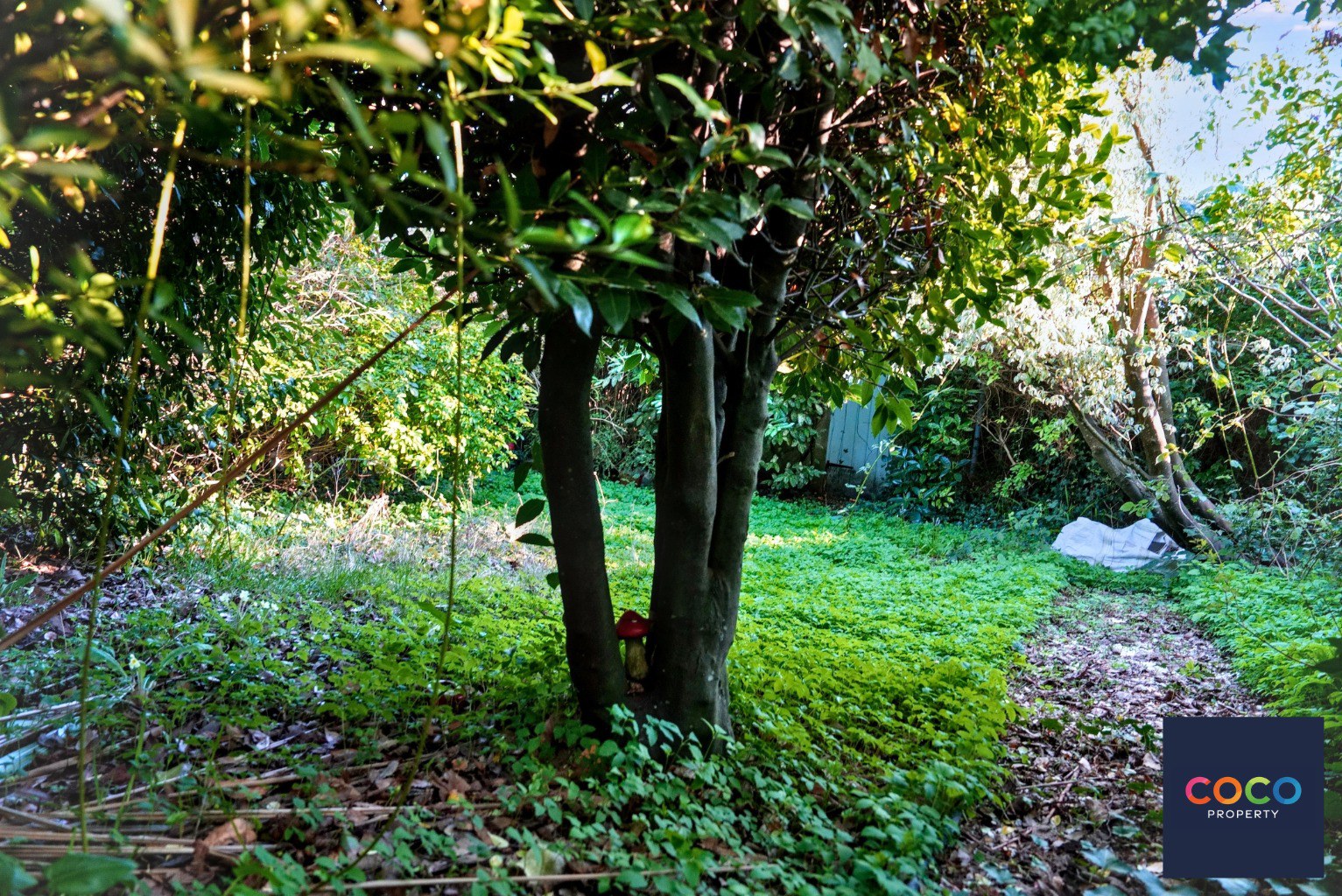 West Walks, Dorchester, Dorset, DT1, photo 8