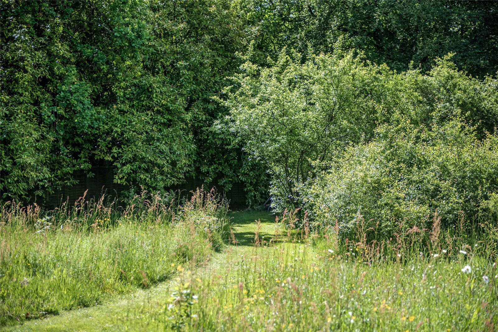East Ashling, Chichester, West Sussex, PO18, photo 32