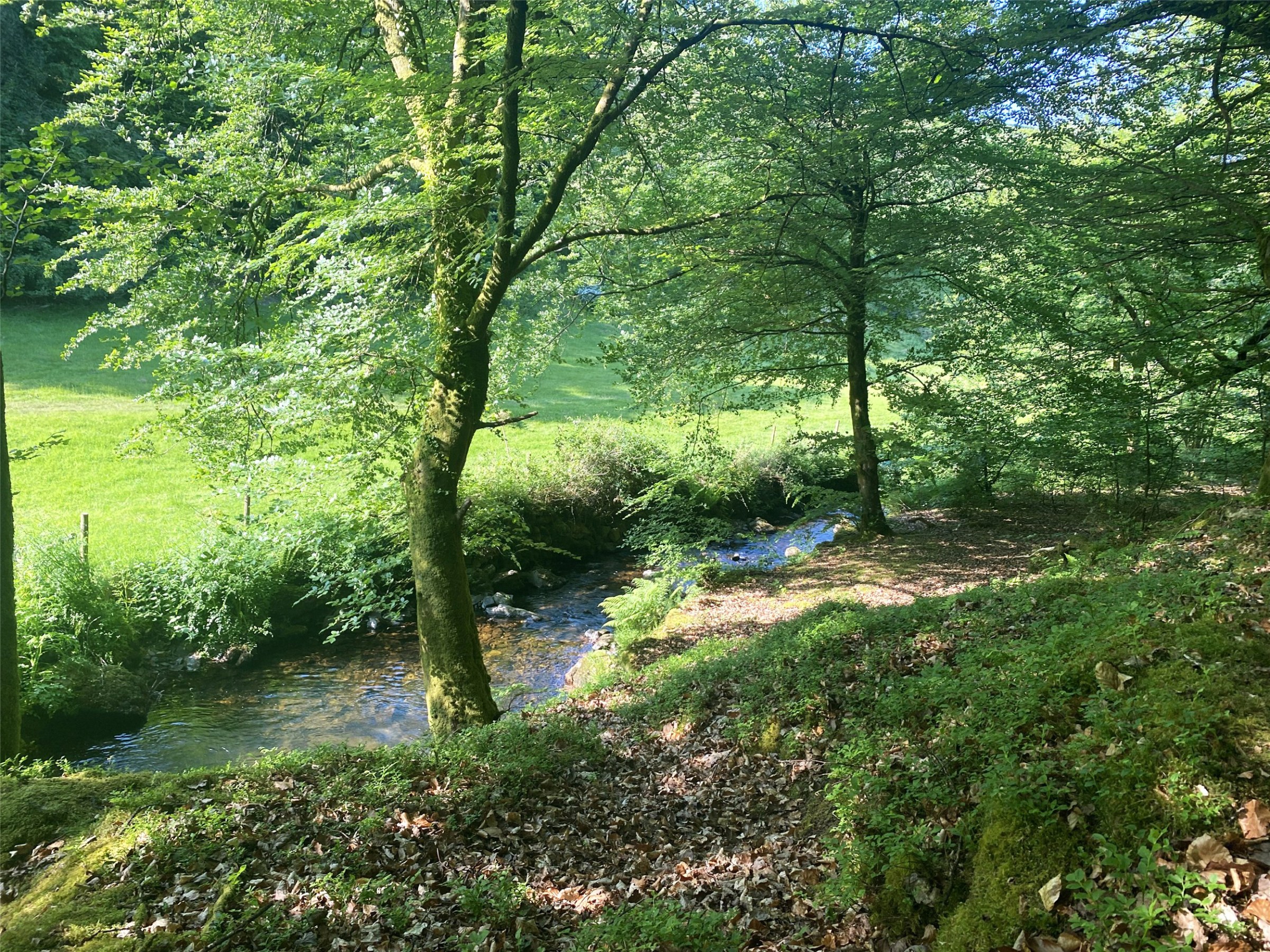 Porlock, Exmoor National Park, Minehead, Somerset, TA24, photo 16