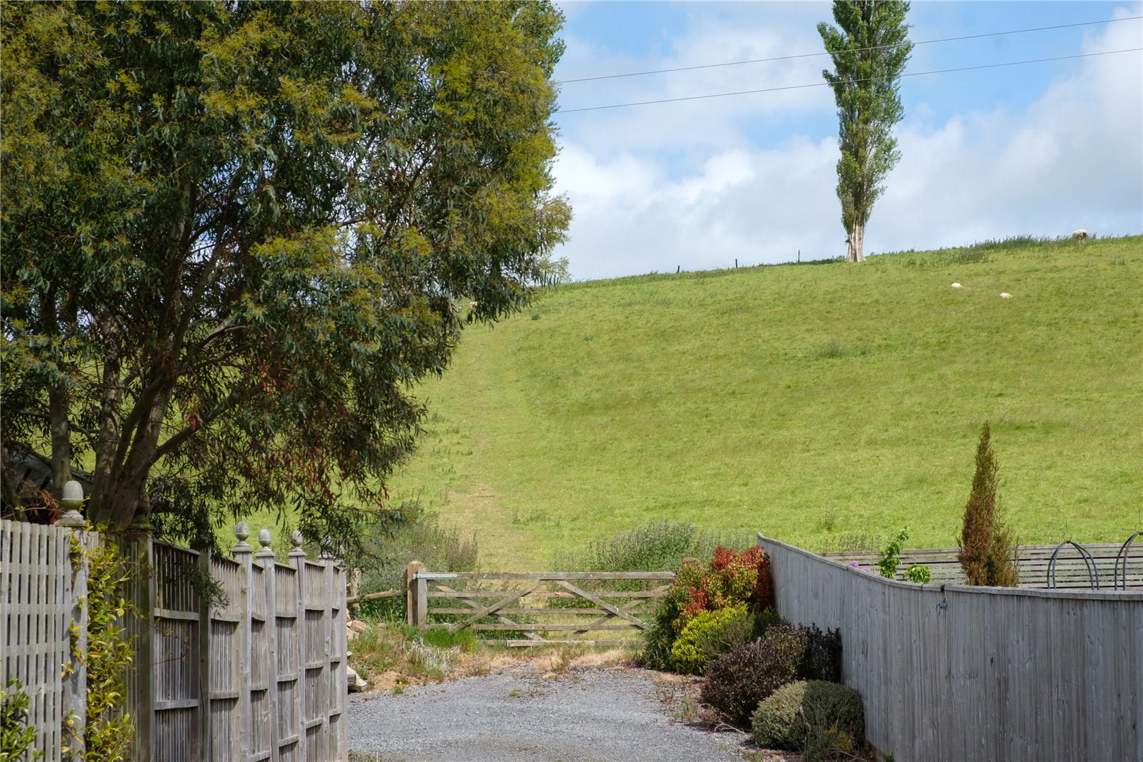 Mill Lane, Dowlish Wake, Ilminster, Somerset, TA19, photo 49