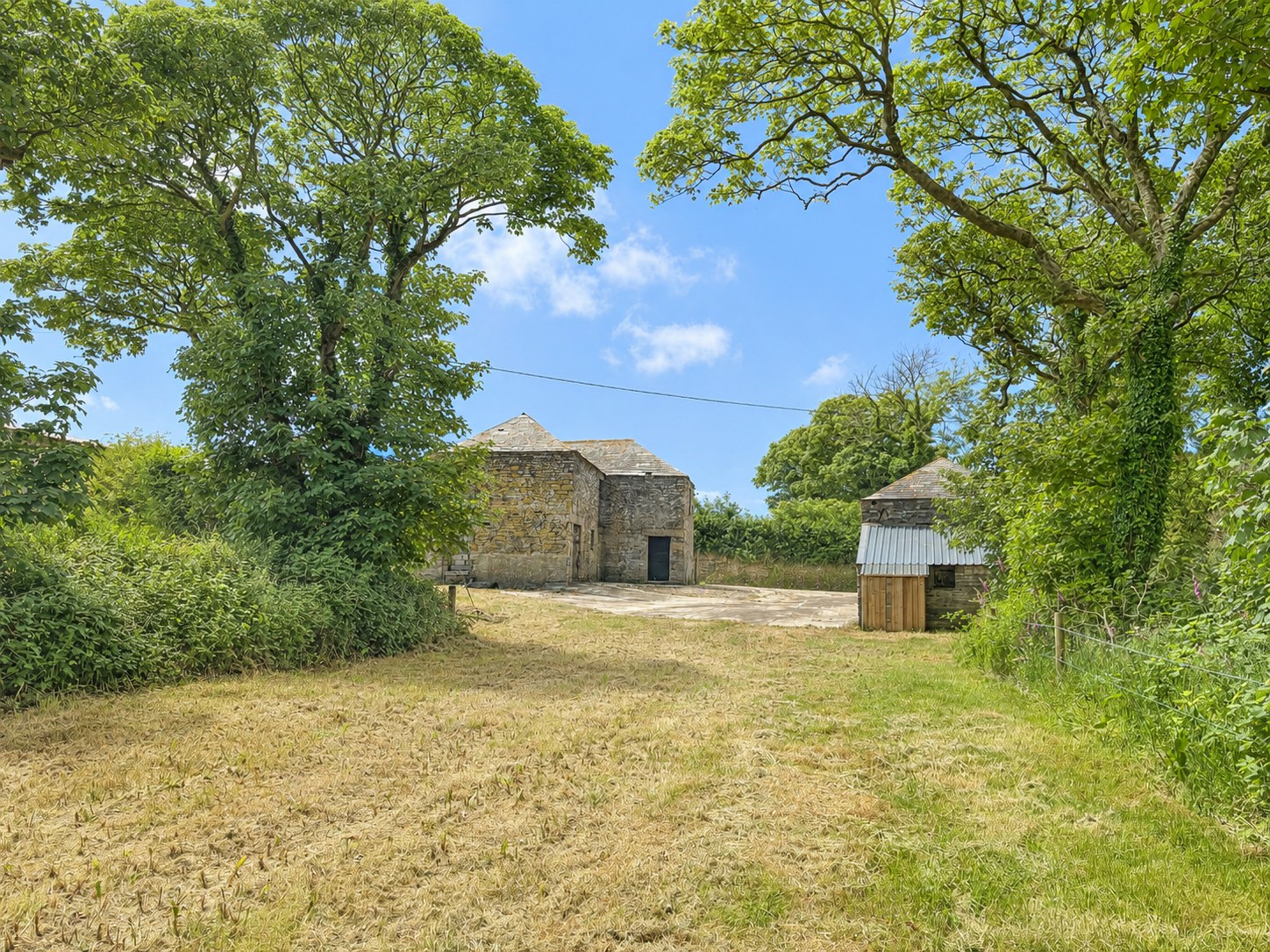 Trekee Lane