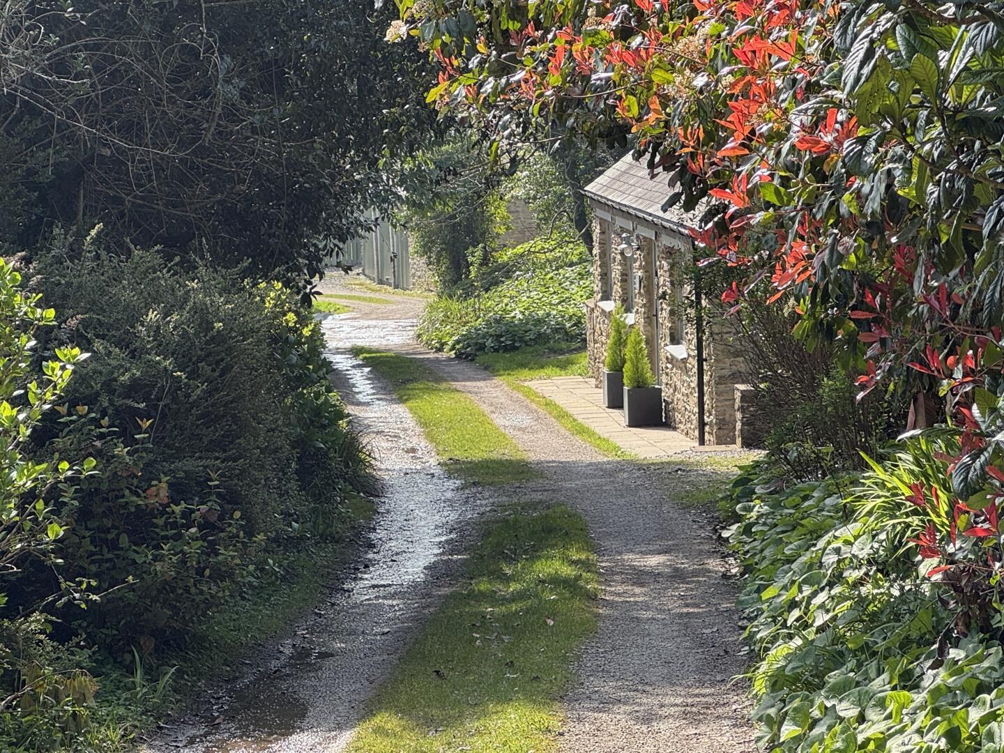 Tregye Road