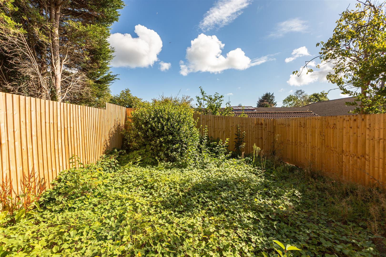 Wimmerfield Avenue, Killay, SWANSEA, photo 12