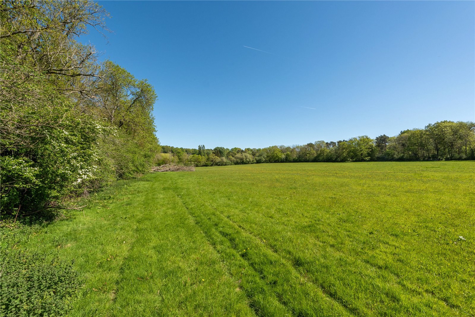 Home Farm, Coldharbour Lane, Dorking, Surrey, RH4, photo 17