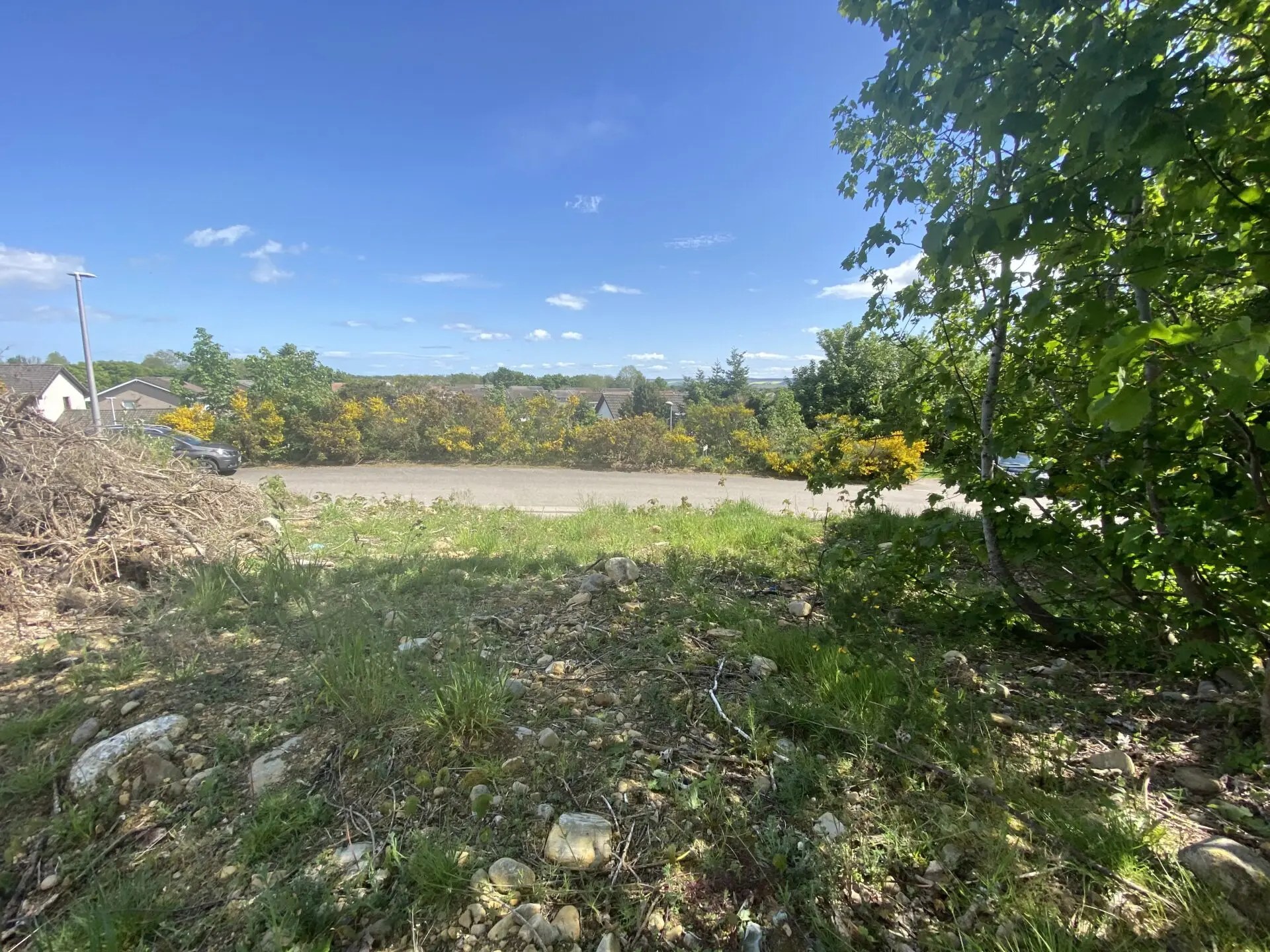 Plots at Willowbank Park