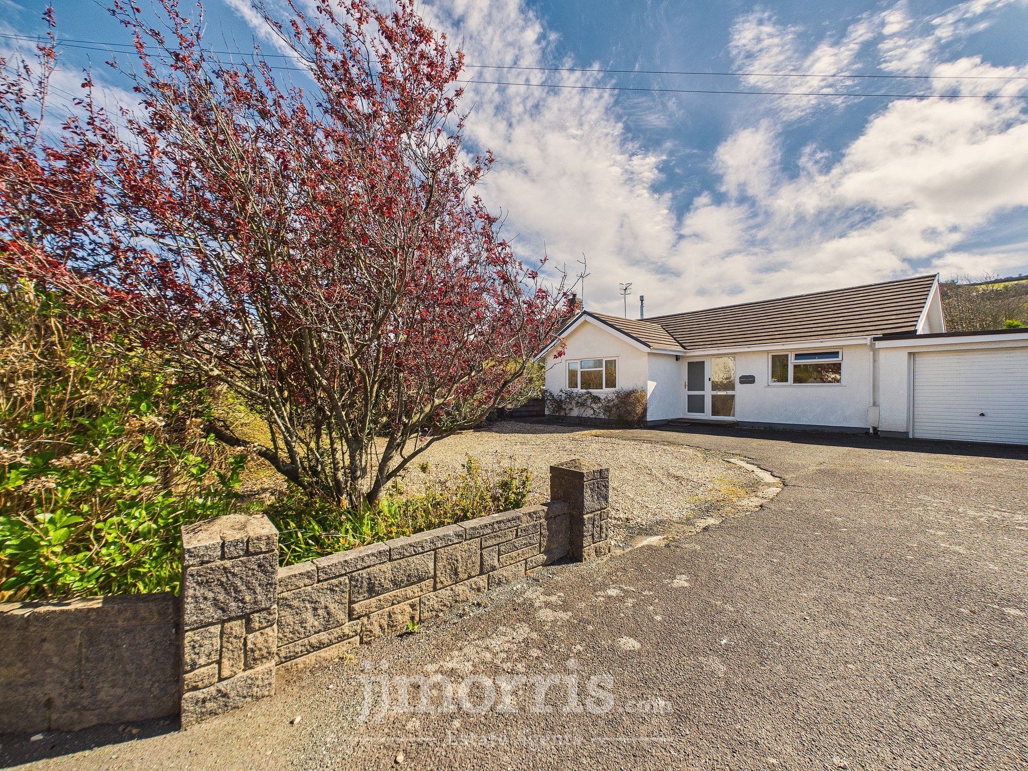 Paddys Lodge