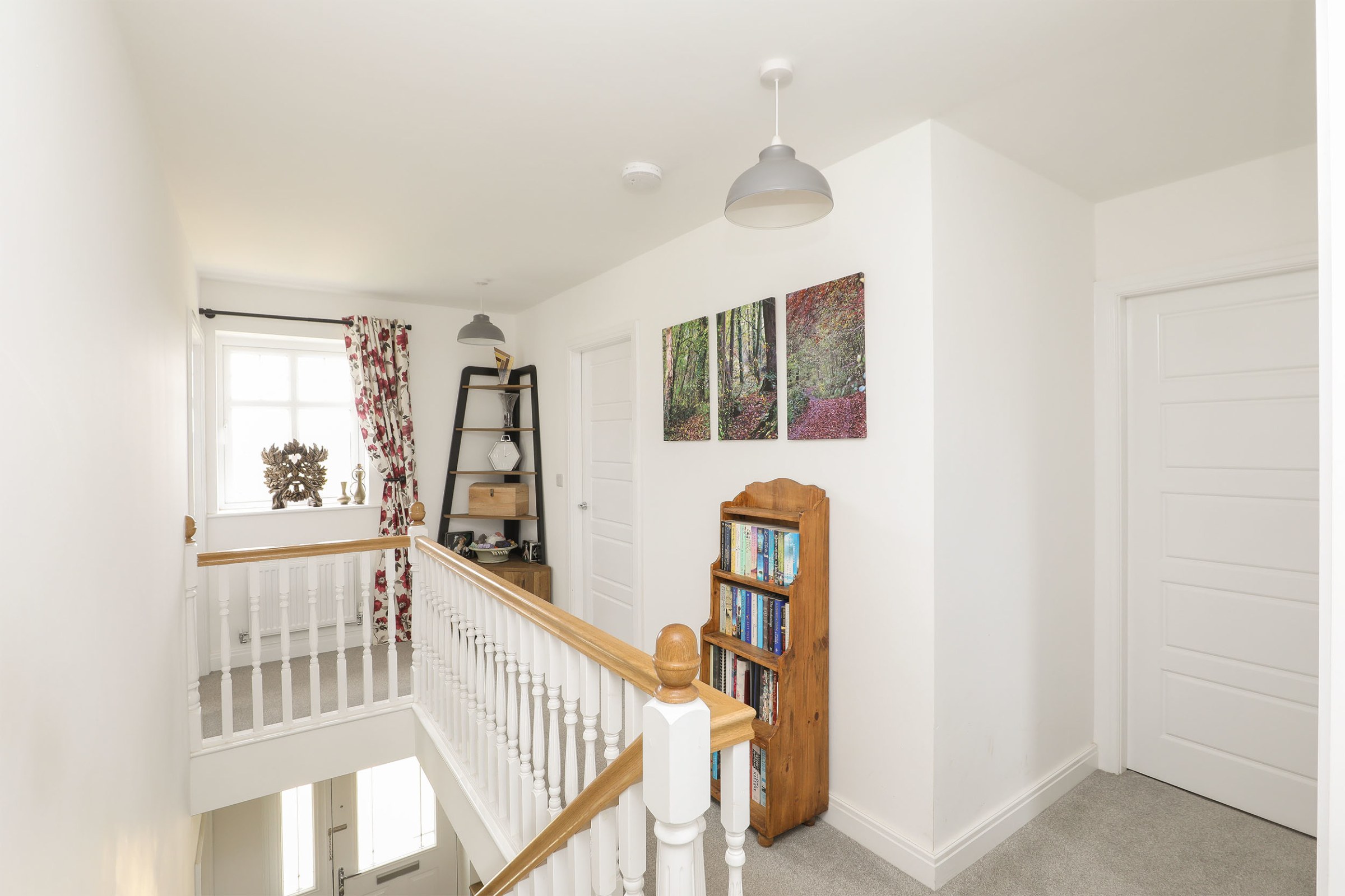 Damselfly Drive, Holmewood, S42, photo 16