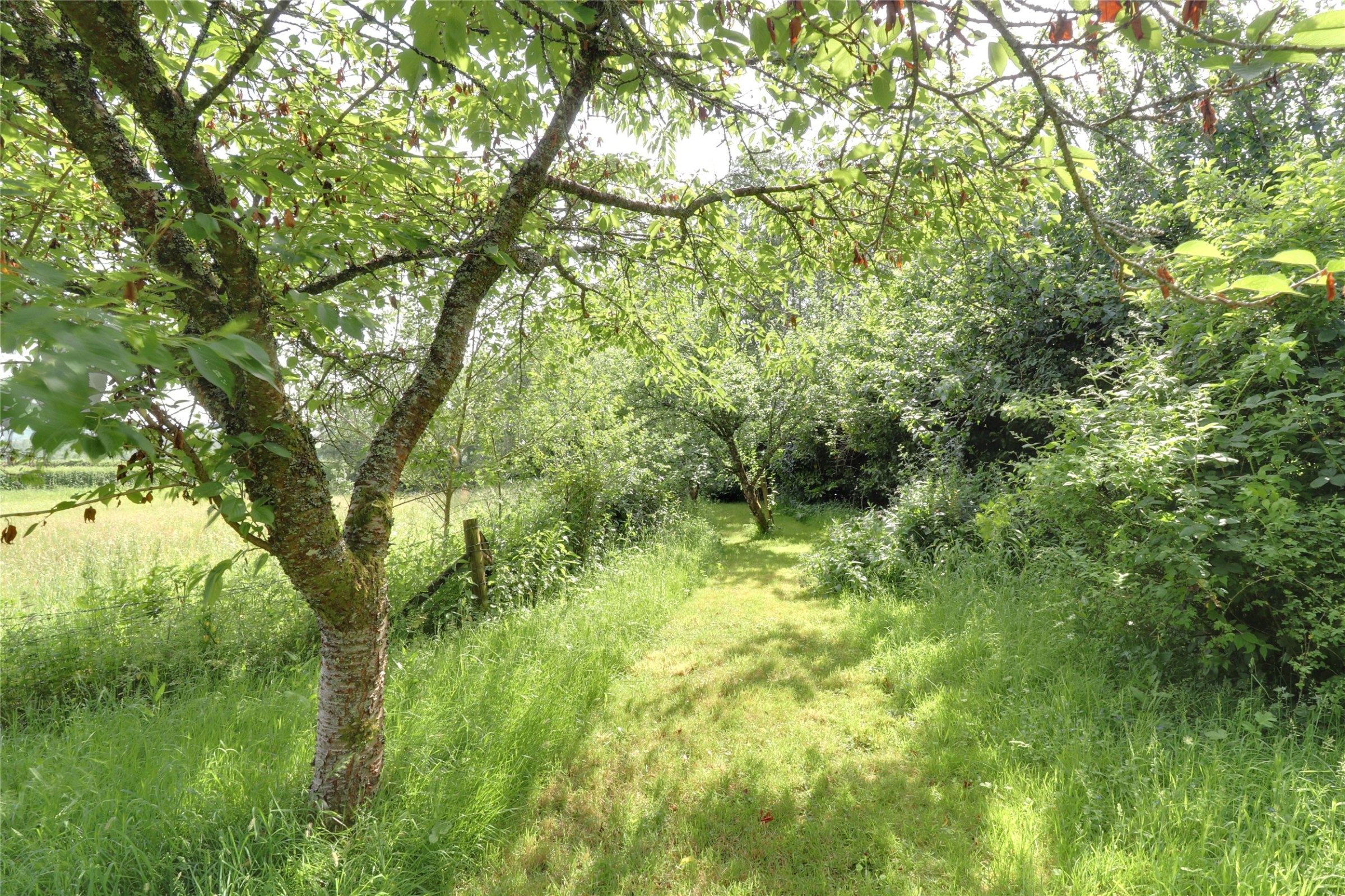 Petrockstow, Okehampton, Devon, EX20, photo 27
