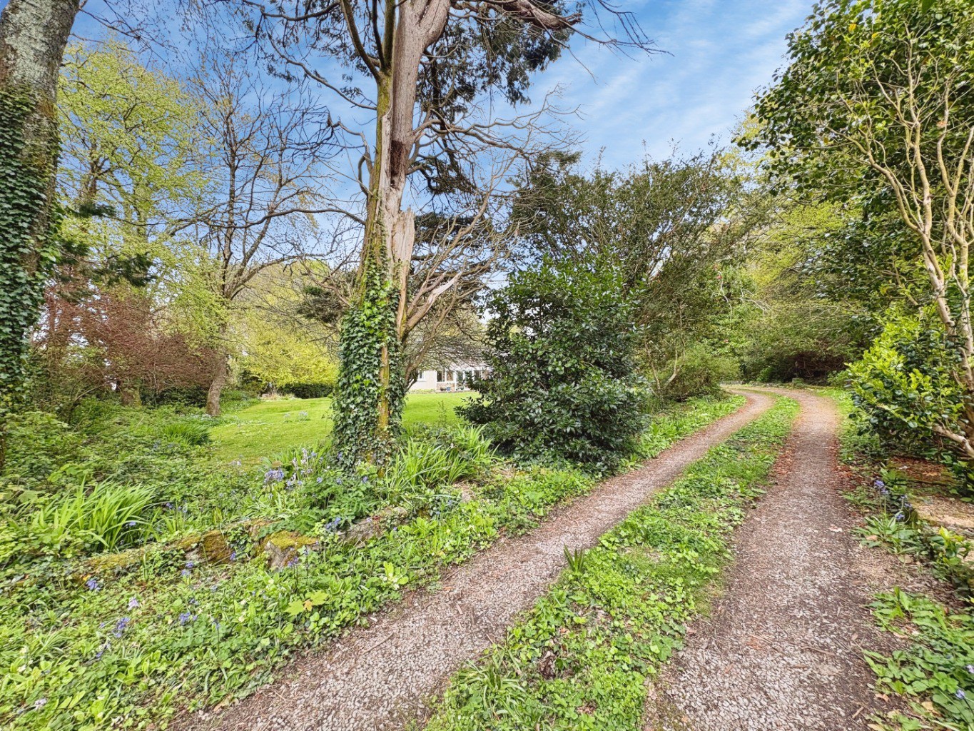Perran Downs, Spacious three bed bungalow, photo 33