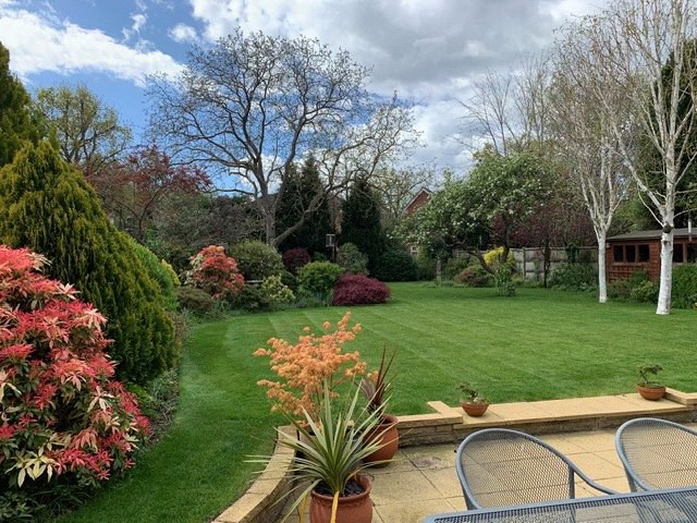 Fernhill Road, Farnborough, Hampshire, GU14, photo 18