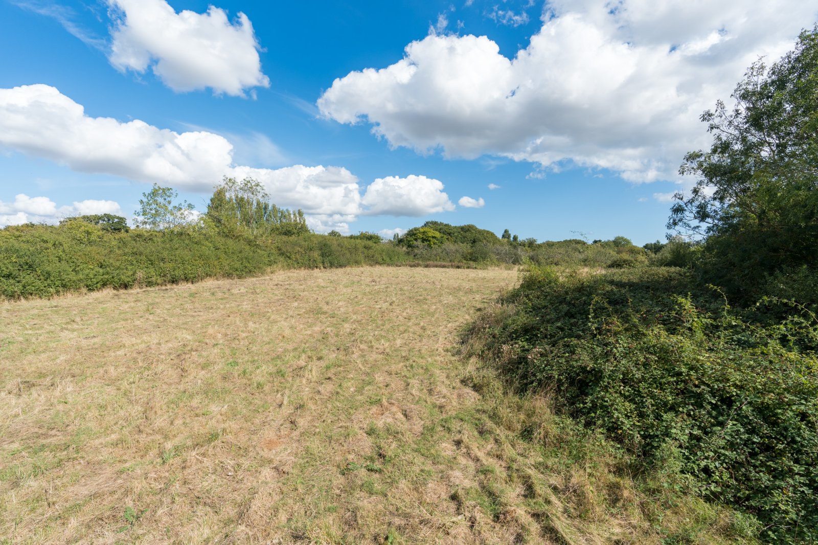 Little Ditches, London Road, Little Clacton, Essex, CO16, photo 36