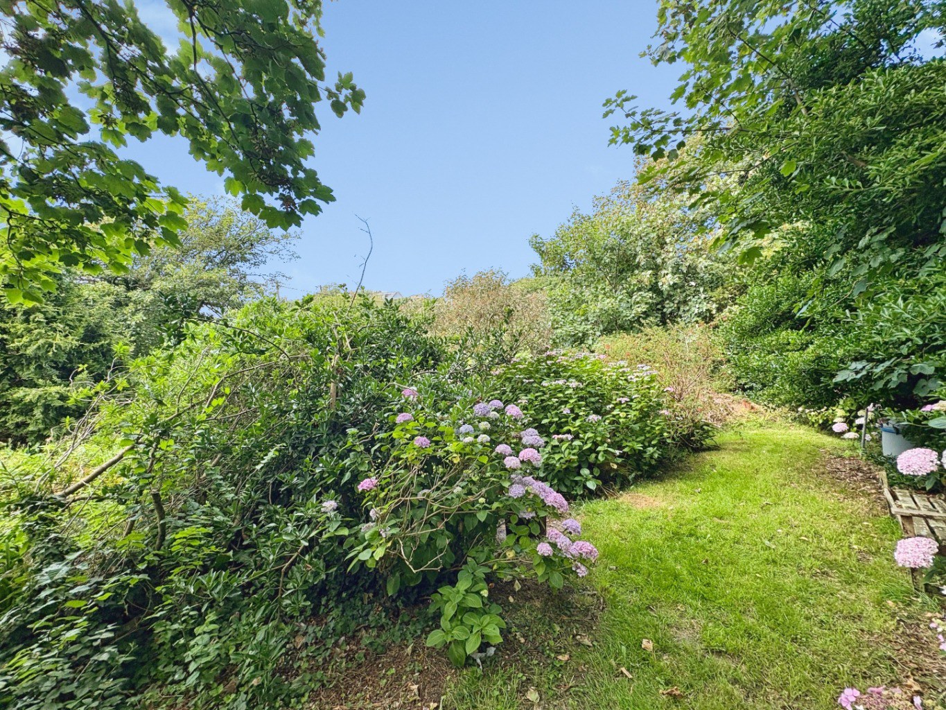 Mullion, Spacious home set within generous grounds, photo 24