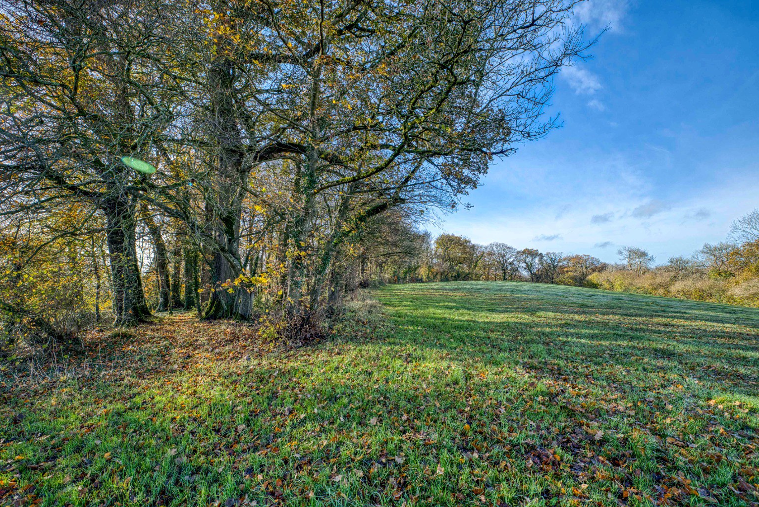 Manor house with circa 26 acres, a mile from Wells, photo 43
