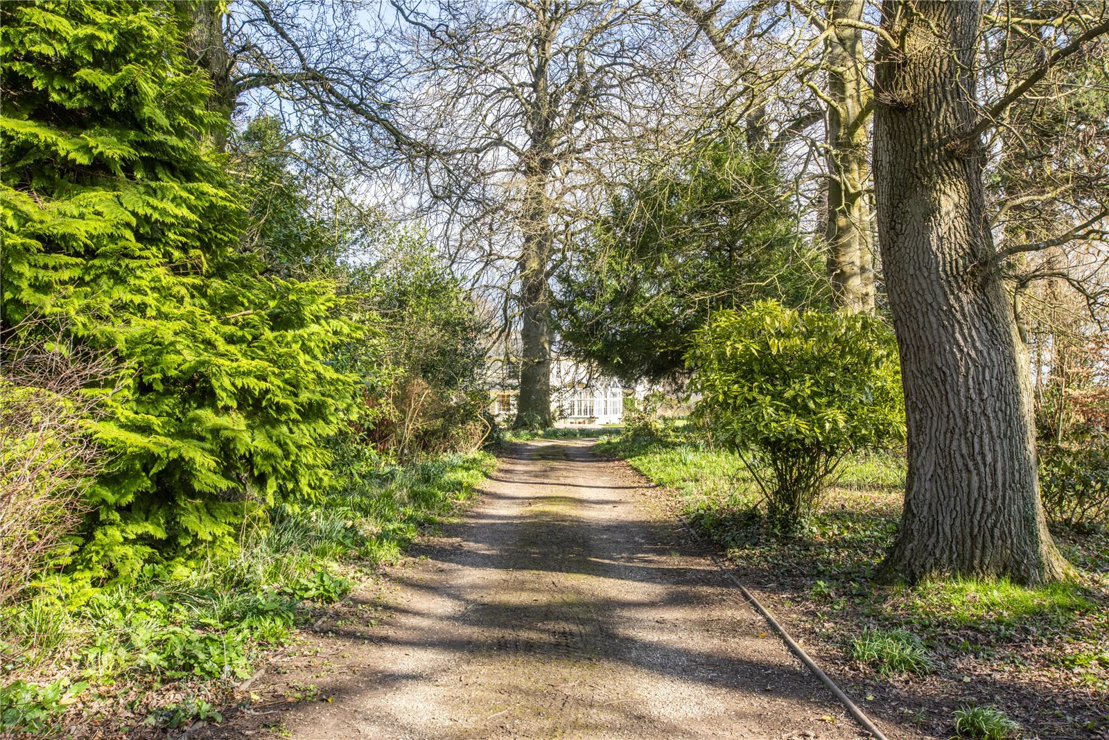 Over Stowey, Bridgwater, Somerset, TA5, photo 21