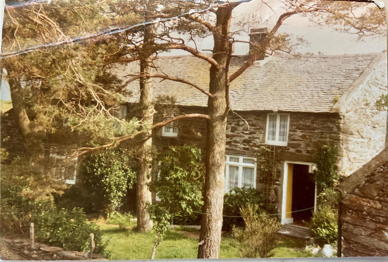 Photo 19