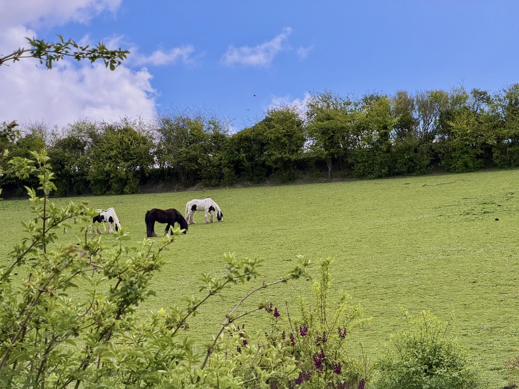 Chandlers Lane, Aldbourne, SN8 2TB, photo 3
