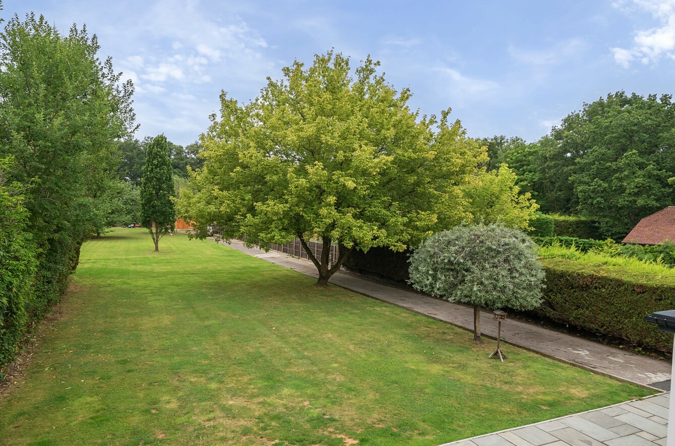 New Lane, Sutton Green, Guildford, Surrey, GU4, photo 22