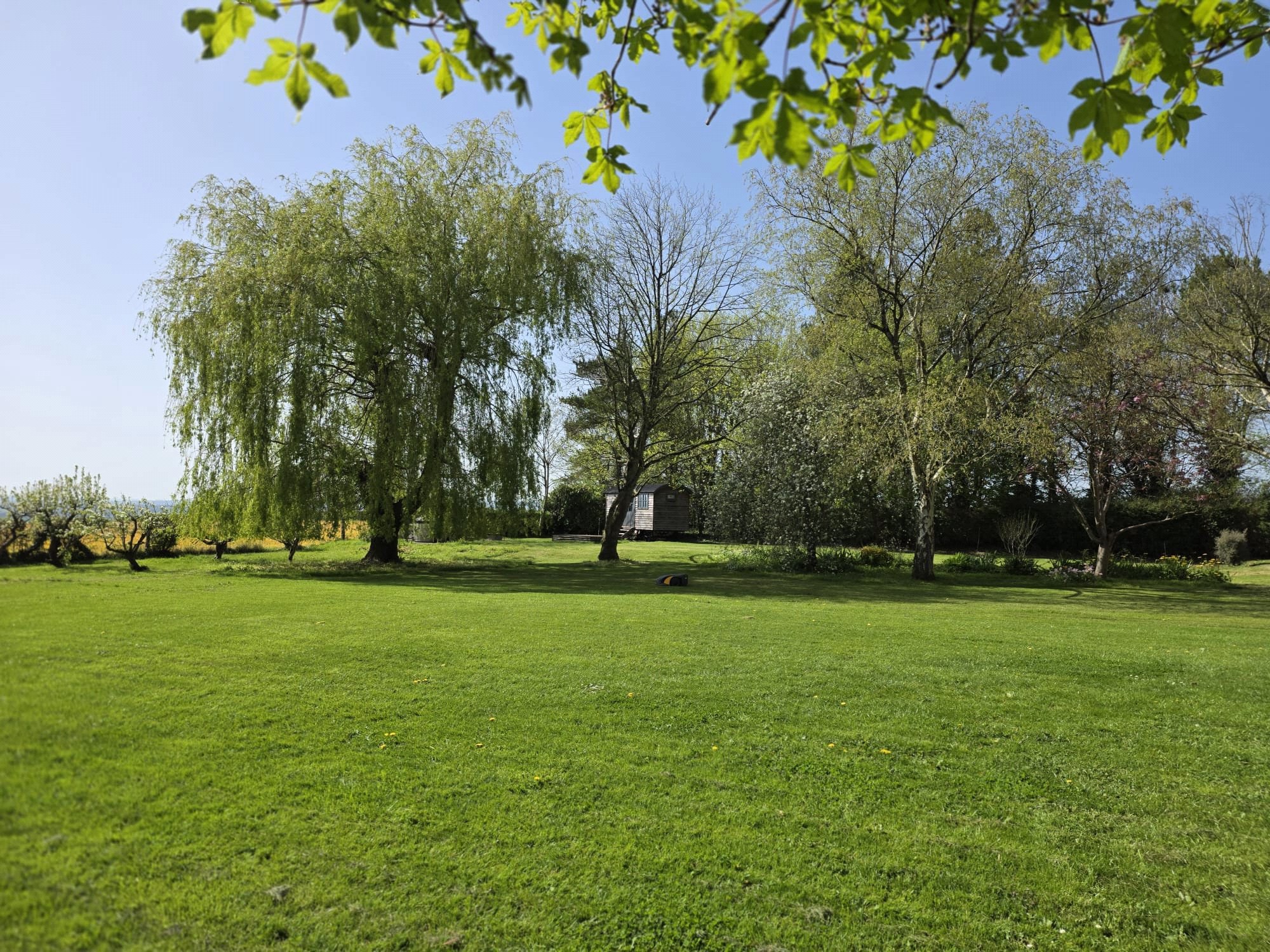 Wrantage, Taunton, Somerset, TA3, photo 26