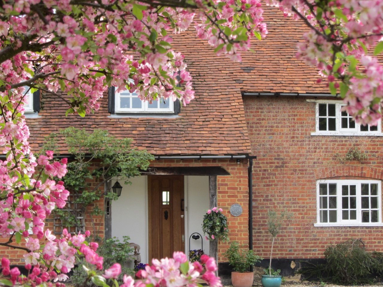 Long Reach, Ockham, Surrey, GU23, photo 37