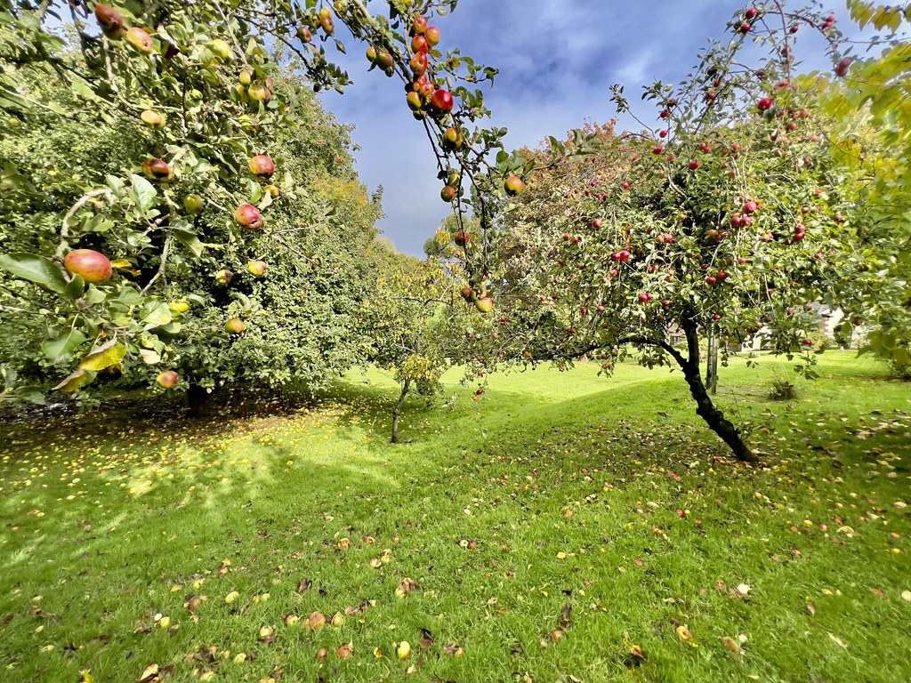 Escott, Nr Stogumber, Quantock Hills, photo 16