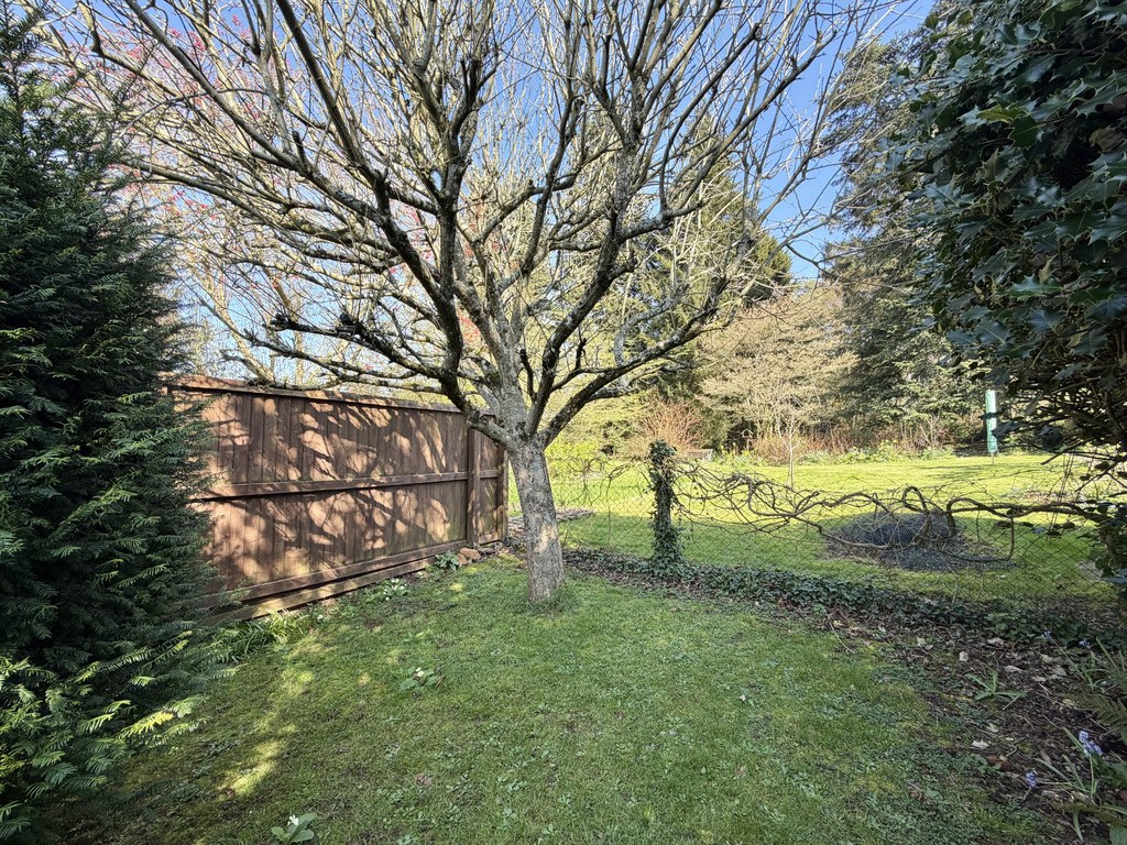 Kingston St. Mary, Taunton, photo 12