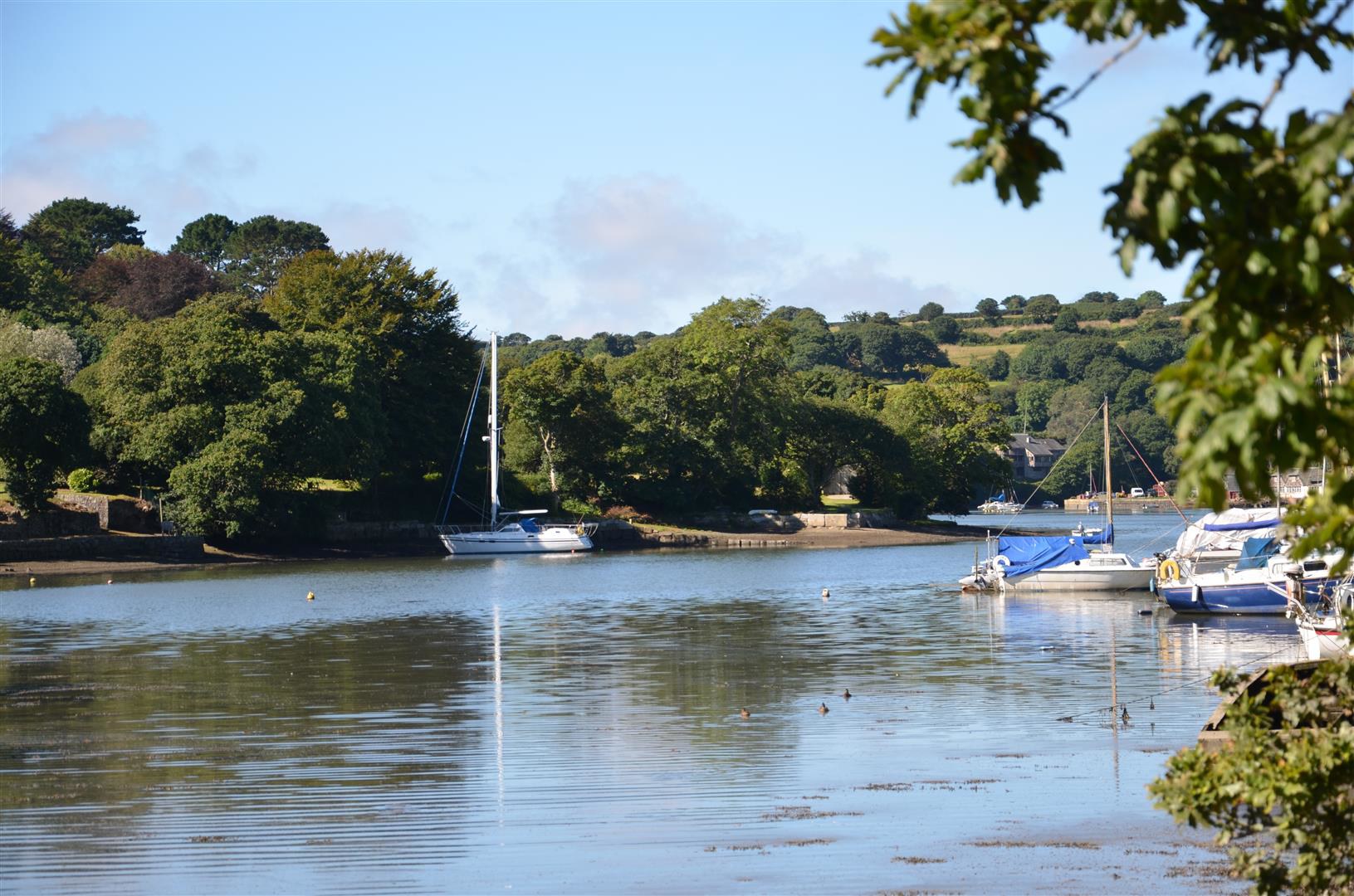 Mawnan Smith | South Cornwall, photo 26