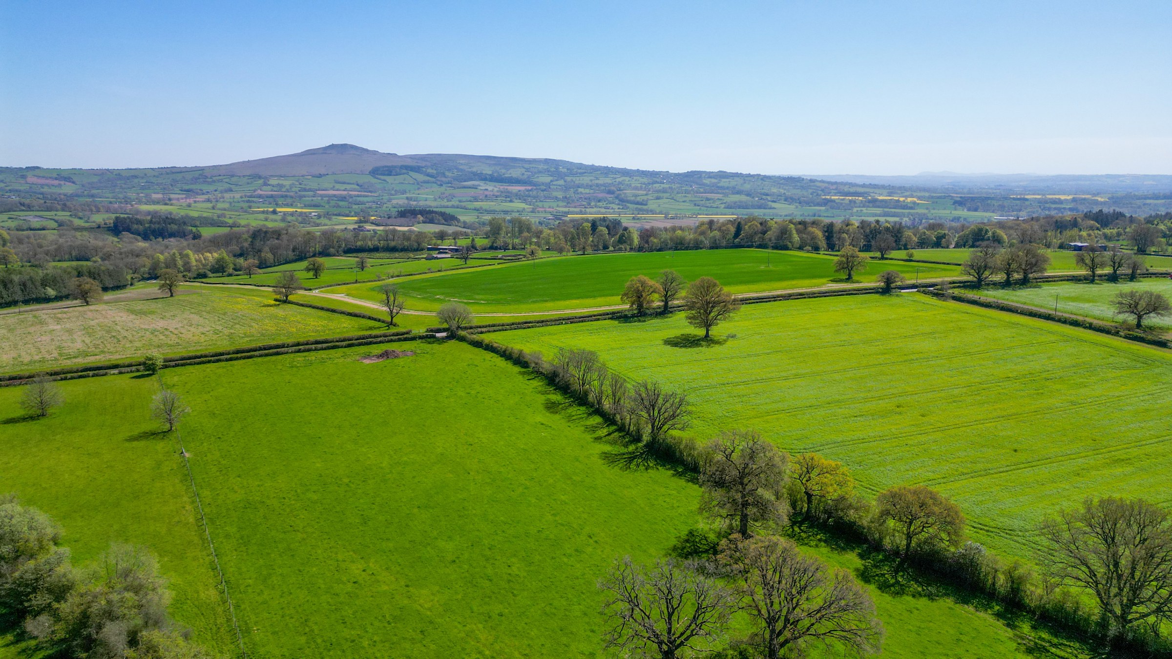 Haytons Bent, Ludlow, SY8, photo 4