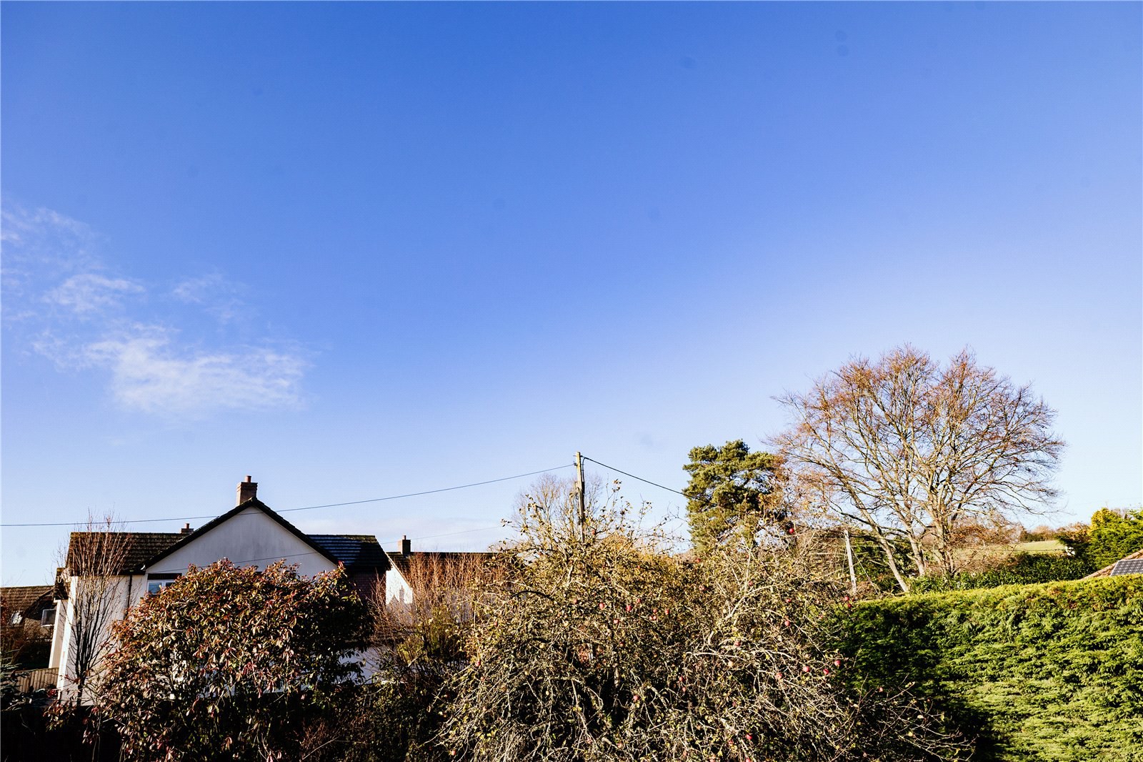 Waterleat Gardens, Newton Poppleford, Sidmouth, Devon, EX10, photo 8