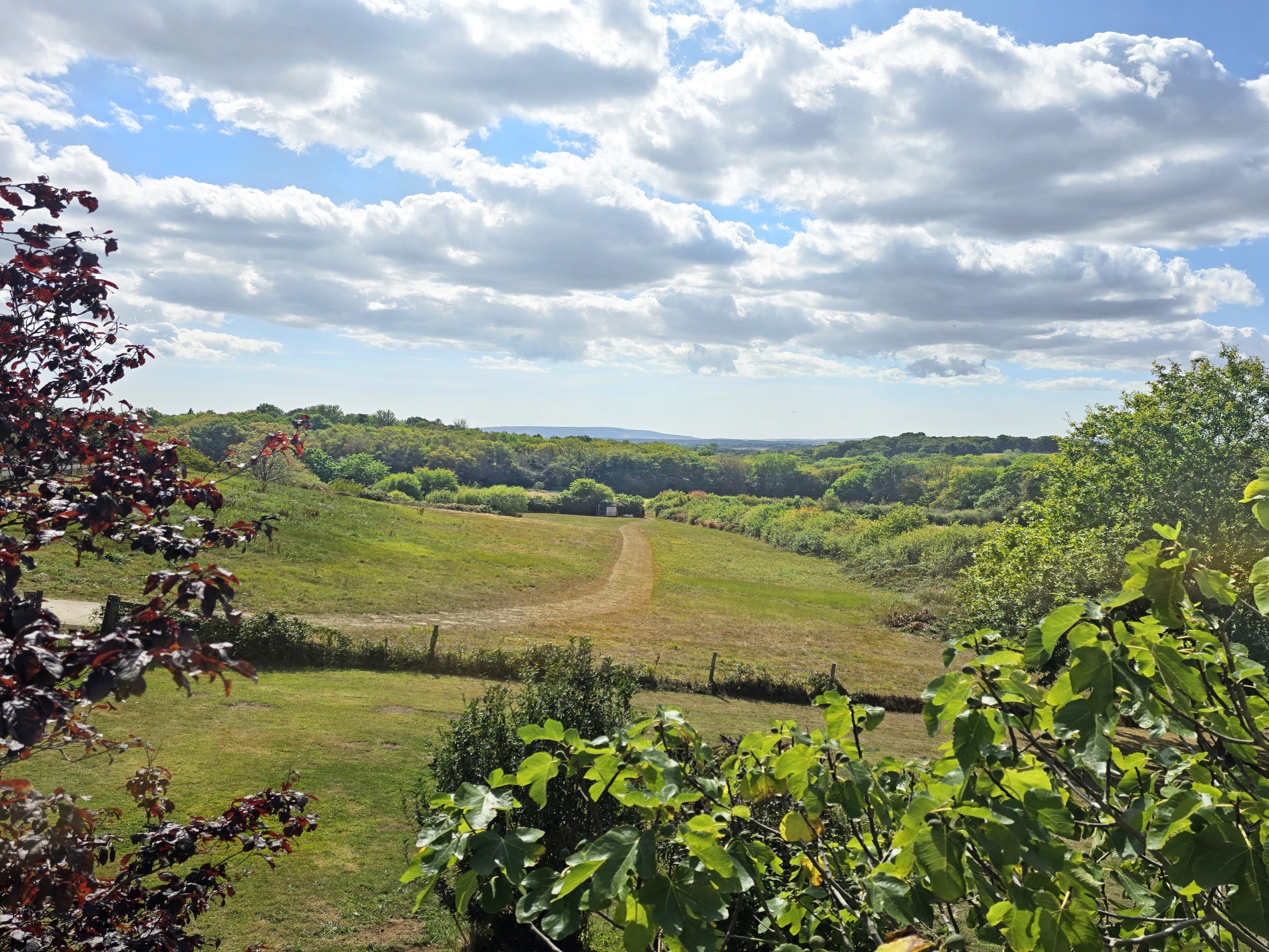 Stunts Green, Herstmonceux, BN27, photo 2