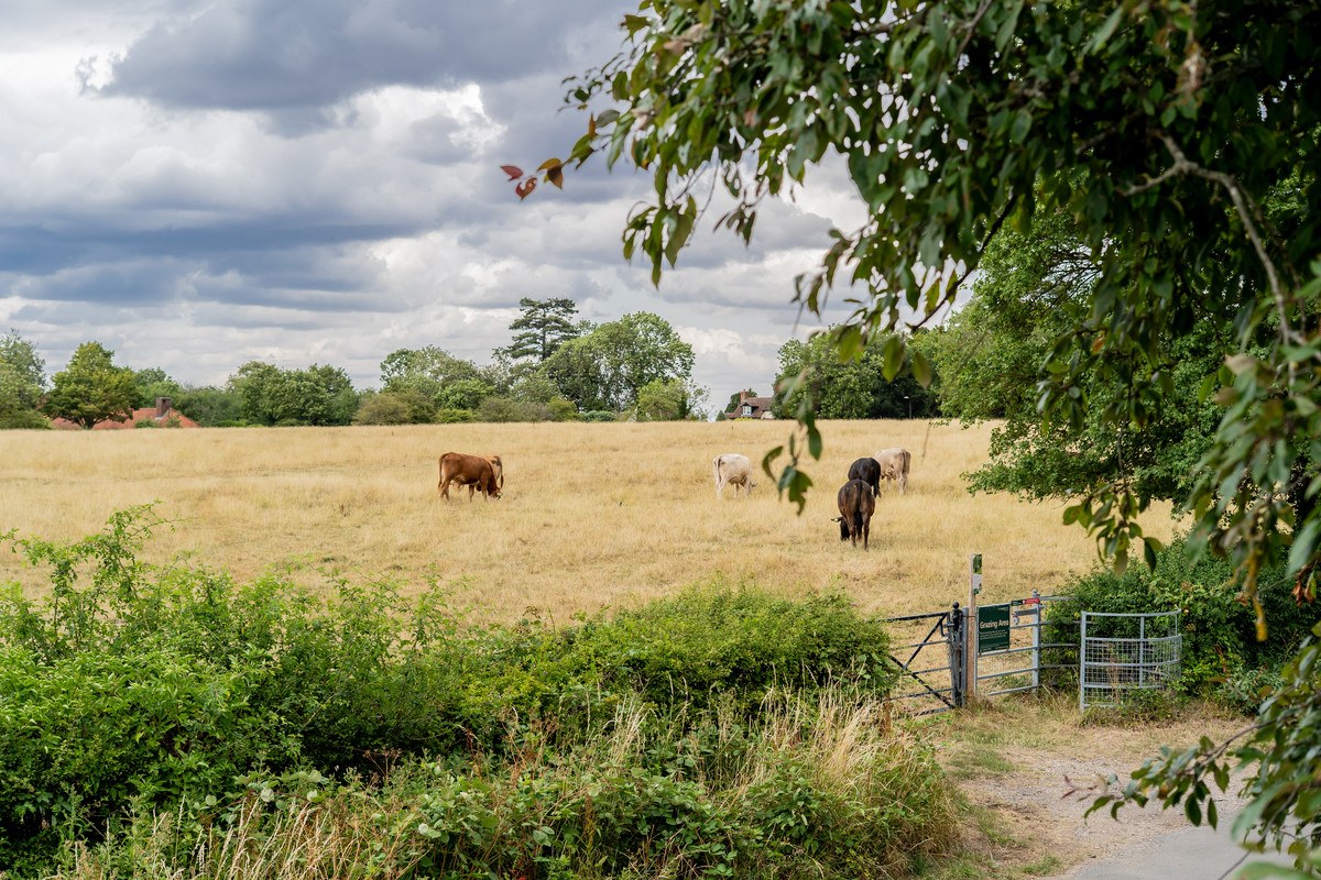 The Green, Woughton on the Green, Milton Keynes, MK6, photo 33