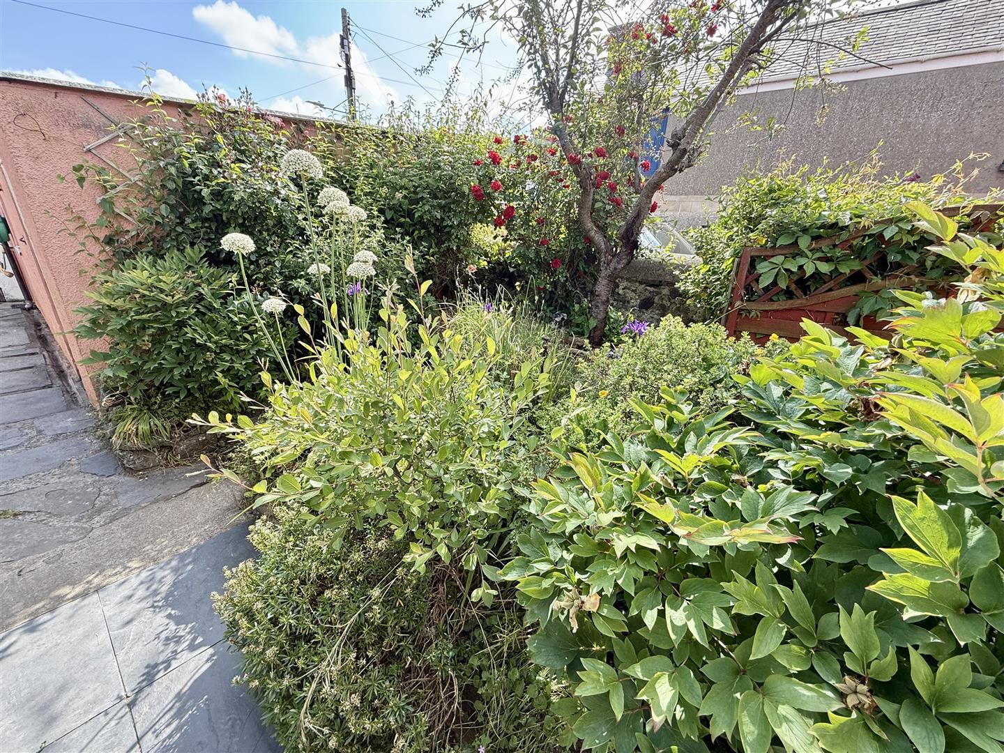 Regent Street, Aberaeron, photo 29